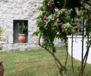 The Well Parga