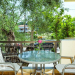 Lemon Garden