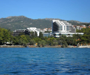 Institut dr  Simo Milošević