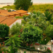 Village Mare
