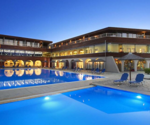 Blue Dolphin