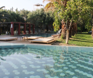 Despotiko Apartment Hotel & Suites