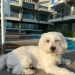 Serenity Suites