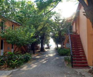 Vila Park, apartmani