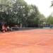 Kamelija