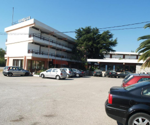 Kamelija
