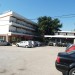 Kamelija