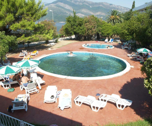 Kamelija