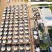 Lichnos Beach Hotel&Suites