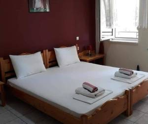 Delphin Rooms