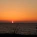 Palmina Mare