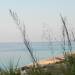 Palmina Mare