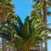 Tridente Mare Apart Hotel